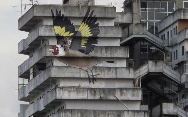 passaro pintado no condomínio