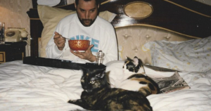 20 Pics Of Freddie Mercury And His Cats, That He Loved And Treated Like His Own Children